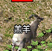 彩云复古铭文隐藏地图 彩云复古铭文 图片 1