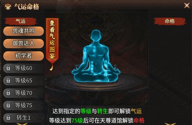 全职高手：【乌木六界专属】之御兽师很无奈 乌木六界专属 图片 3