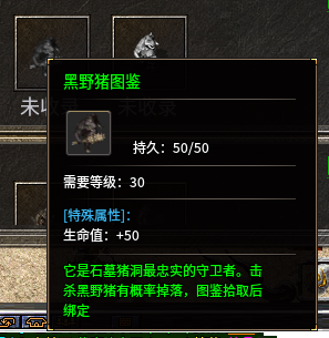 秋雨大极品多职业散人号龙法开荒攻略 秋雨大极品多职业 图片 21