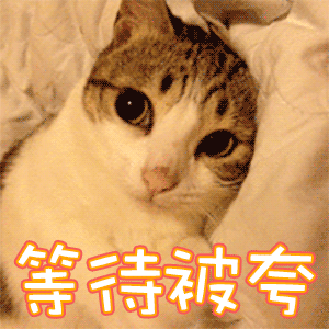 【龙星沉默】攻略大全，最全沉默百科。持续更新中......(7月28号版) 龙星沉默 图片 1