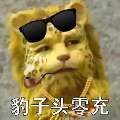 纯粹三职业微变，一刀一刀找回青春 二龙传奇 图片 3