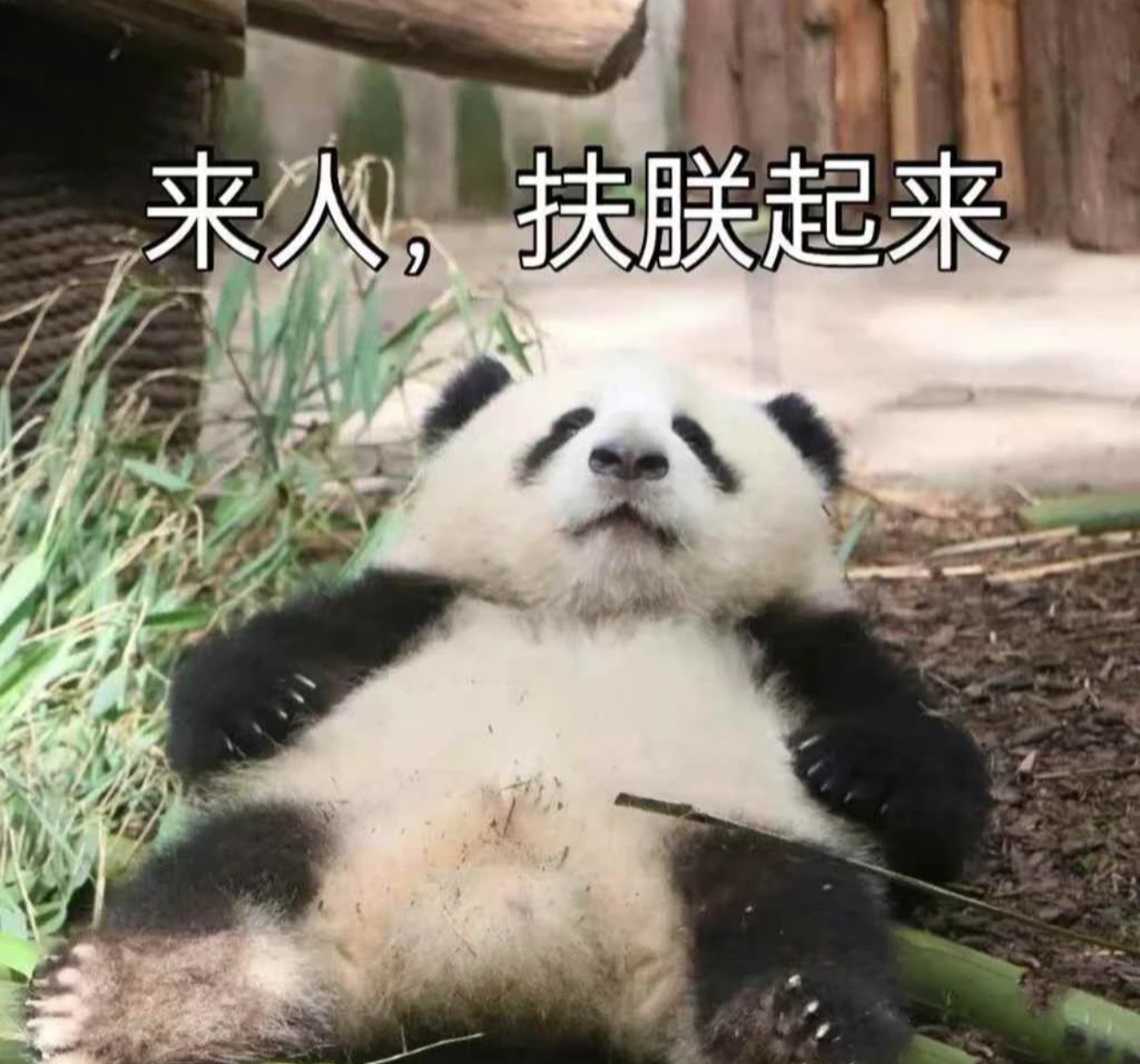 找微变看这里！没礼包没日冲，小氪就能畅玩 二龙传奇 图片 1