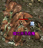 常青灵羽通用攻略 常青灵羽 图片 19