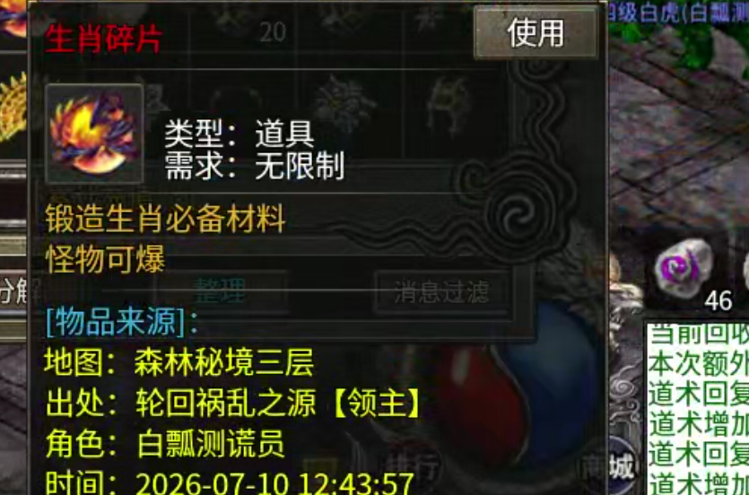 【零氪低氪】孟龙传奇！够肝你就来，没有巡航！两小时一次轮回能打真充的领主服！ 孟龙传奇 图片 38