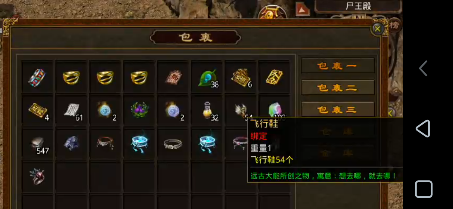 【天顺传世】吃一垫长一智，下服前必看是否连药钱都不够花！跑图骑马，豹子捡物已就位 天顺传世 图片 5