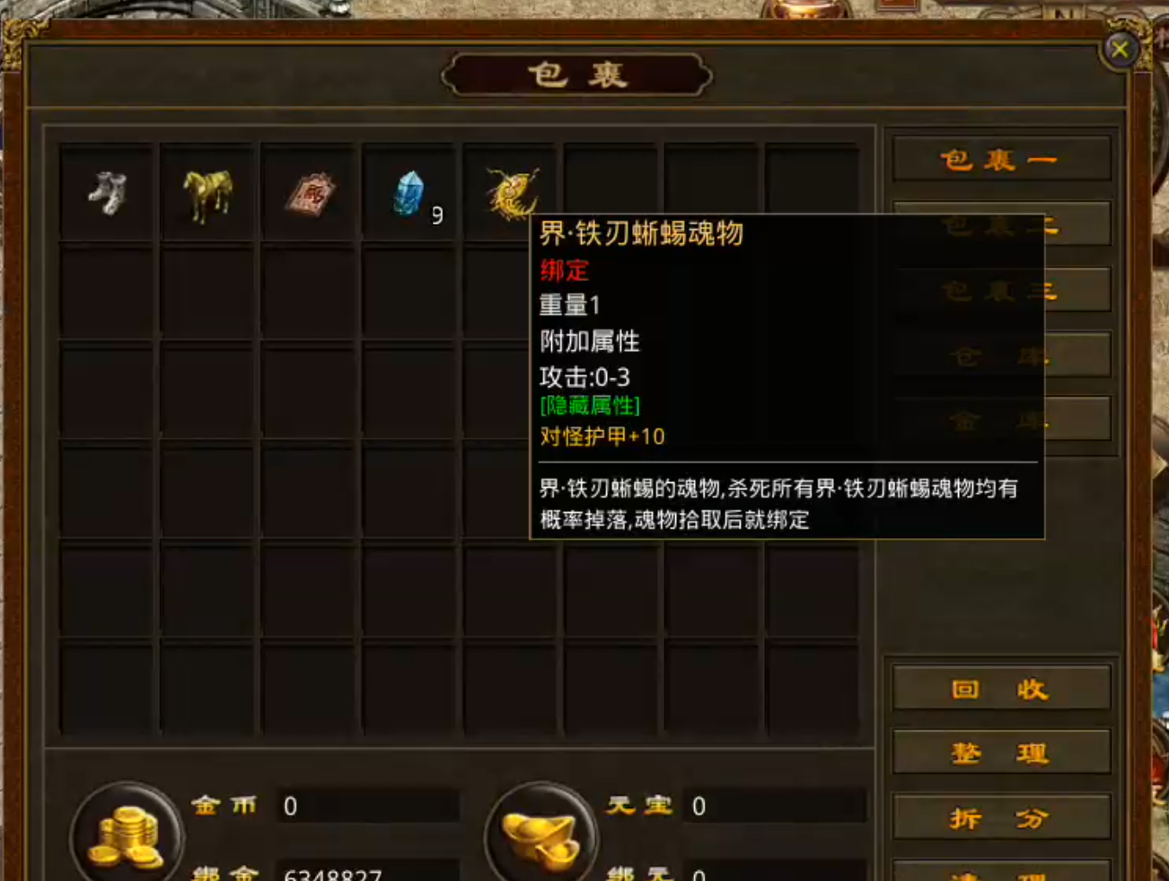 【天顺传世】吃一垫长一智，下服前必看是否连药钱都不够花！跑图骑马，豹子捡物已就位 天顺传世 图片 34