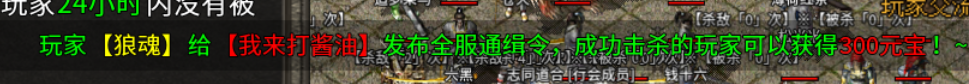 【扶光传奇】纯打怪版本的复古传奇 扶光传奇 图片 29