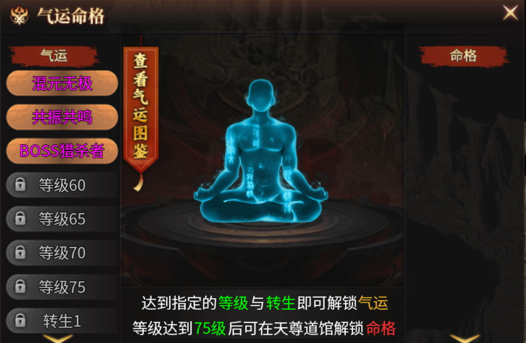 【乌木六界专属】奥术法师，让我想起了那款游戏 乌木六界专属 图片 19