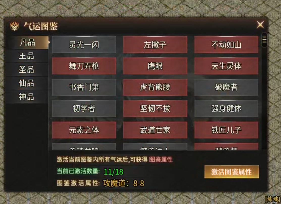 【乌木六界专属】圣骑士体验！！ 乌木六界专属 图片 7