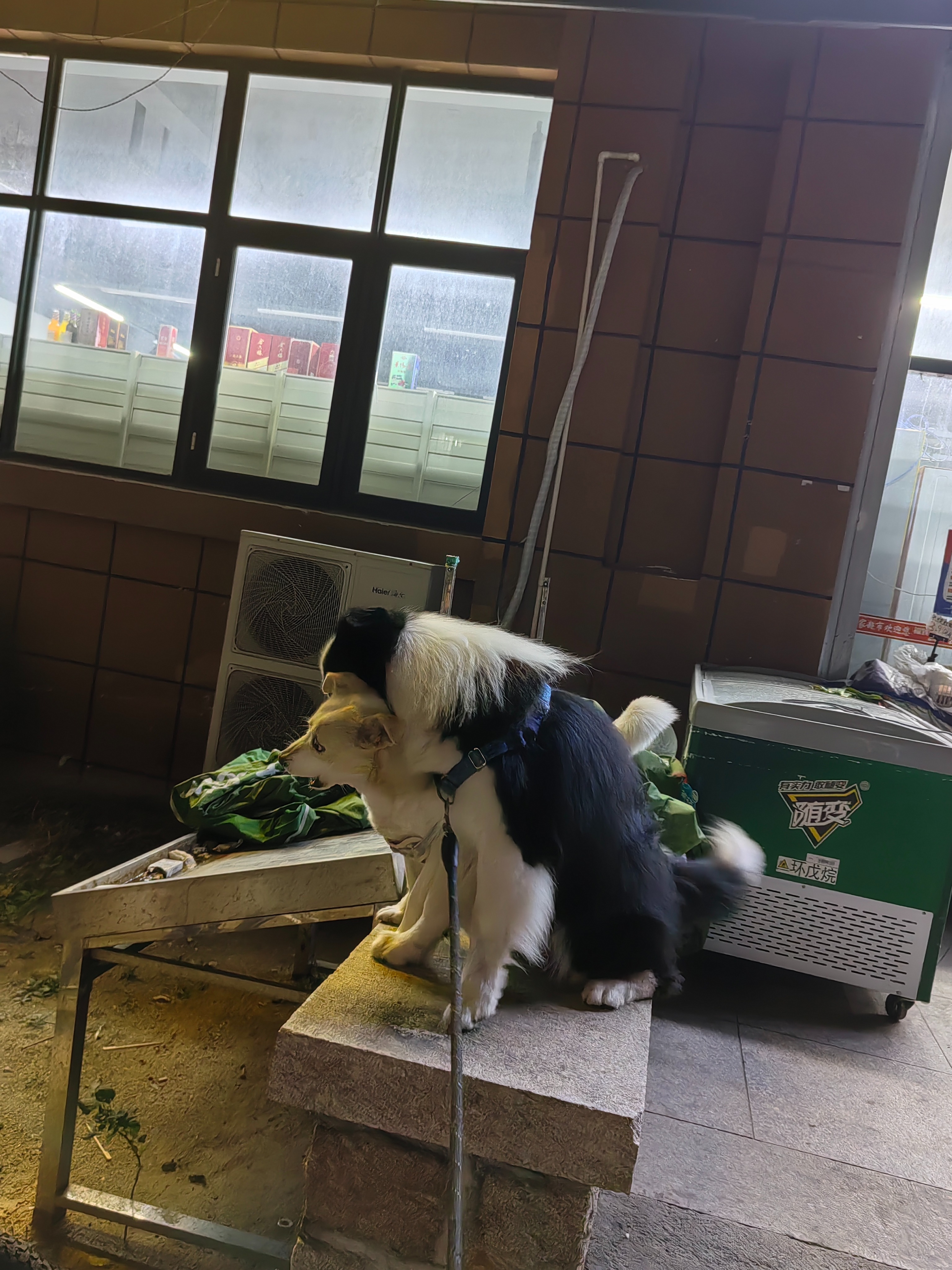 【圆梦江湖沉默】追梦版沉默，首充6元可玩，1-4大陆部分内容分享 圆梦江湖沉默 图片 1