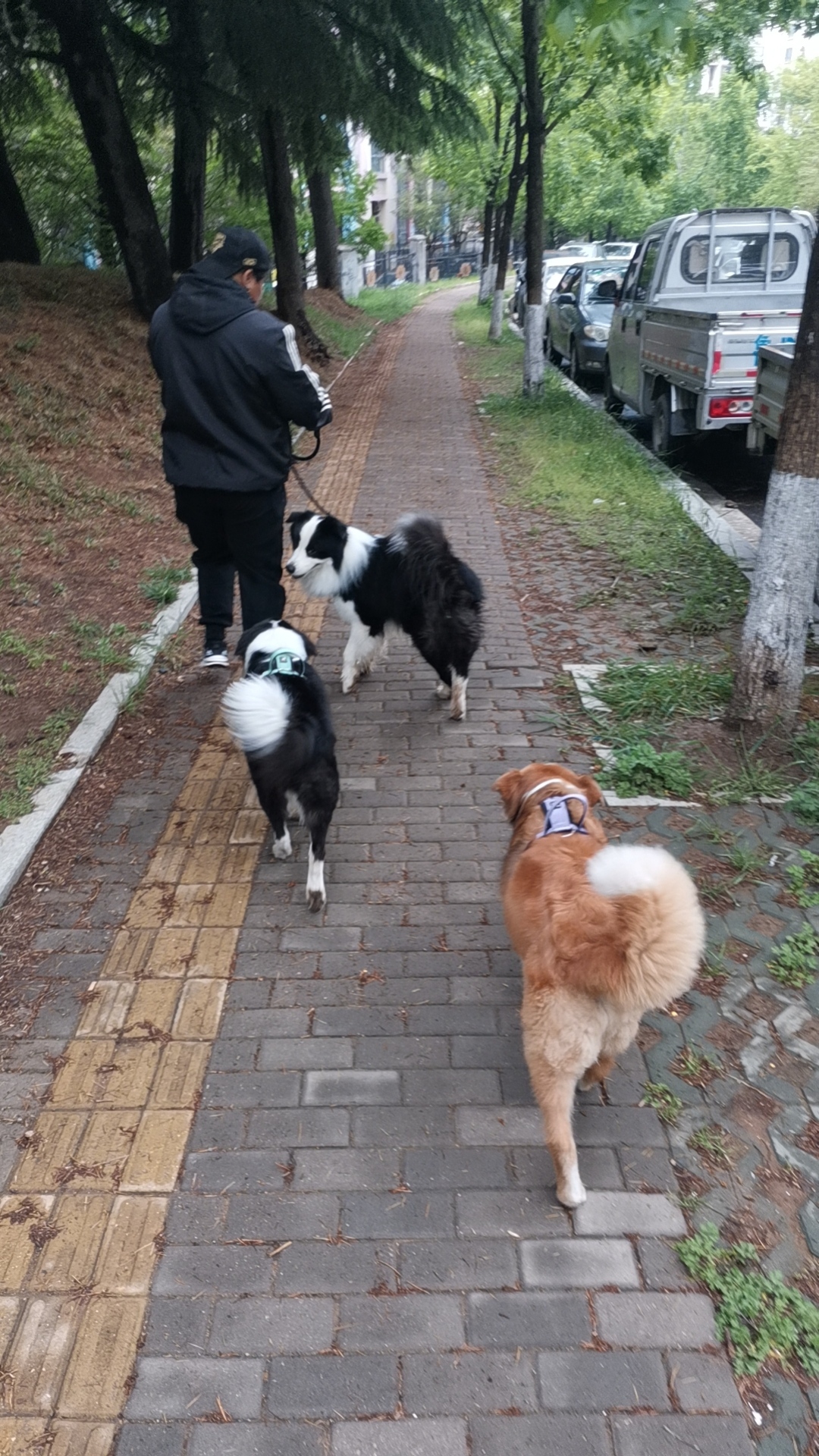 【瀚宇专属西游】首充即可领冠名，还有活动送冠名？啥时候冠名大白菜了？ 瀚宇专属西游 图片 2