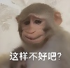 我又来了，带着死磕BUFF的版本再次出现了。 图片 29
